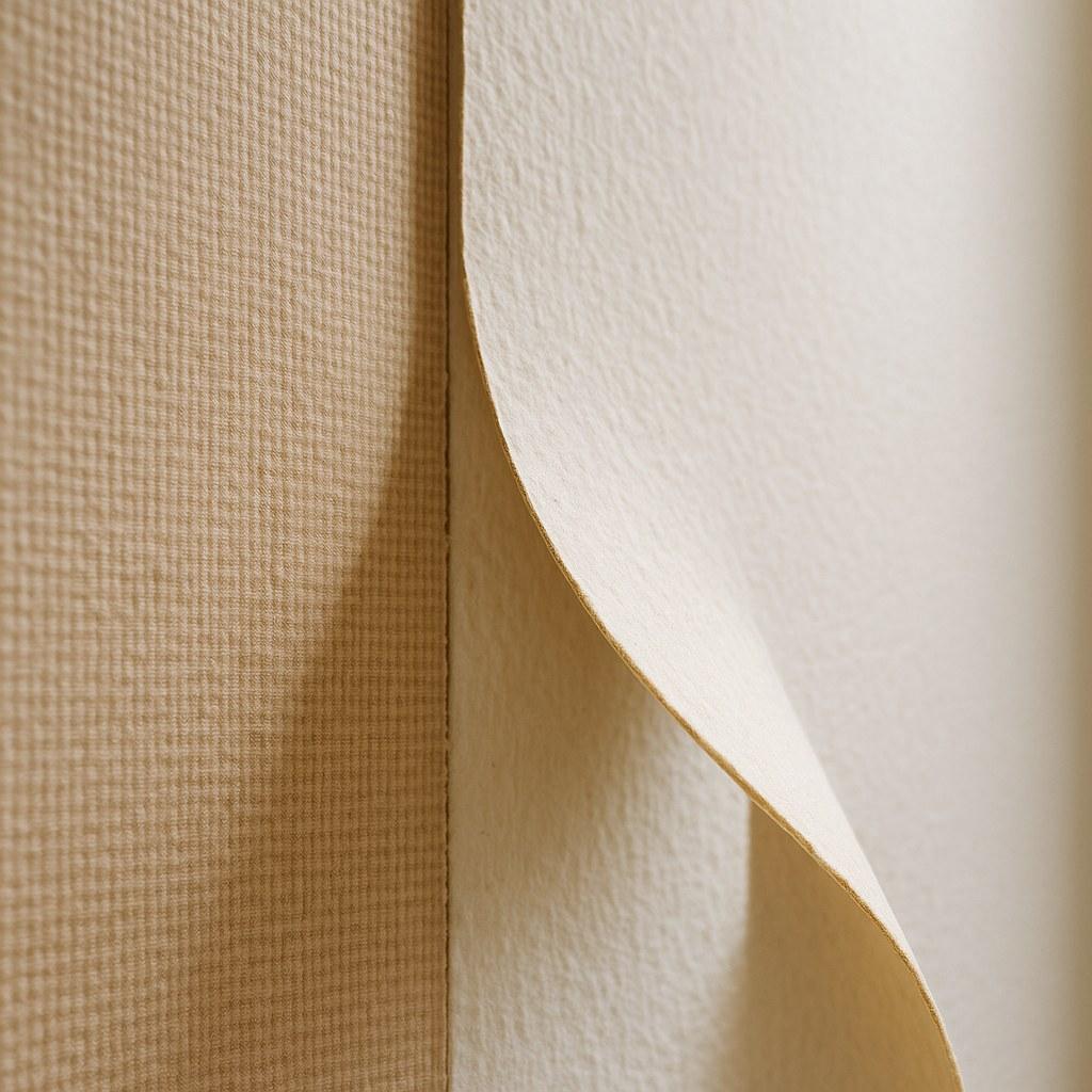 A wallpaper seam peeling away from the wall