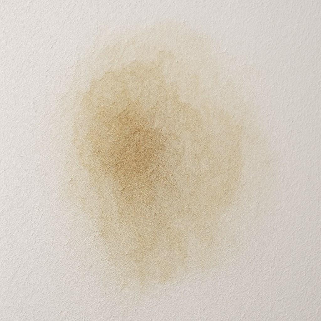 A damp, discolored spot on a white wall